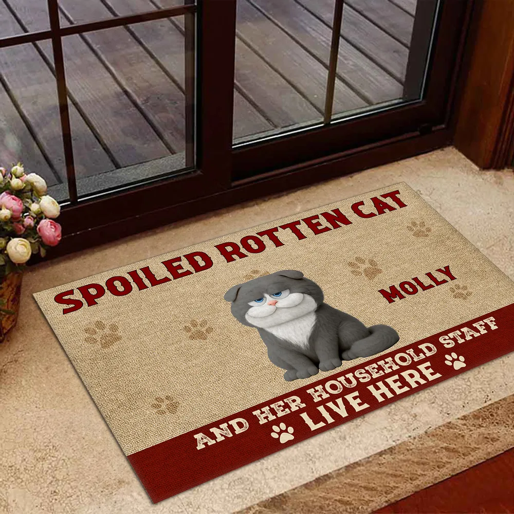 Funny Cat Standard Doormat with Playful Design for Entryway, Adds Humor and Perfect Gift for Pet Lovers - Image 2