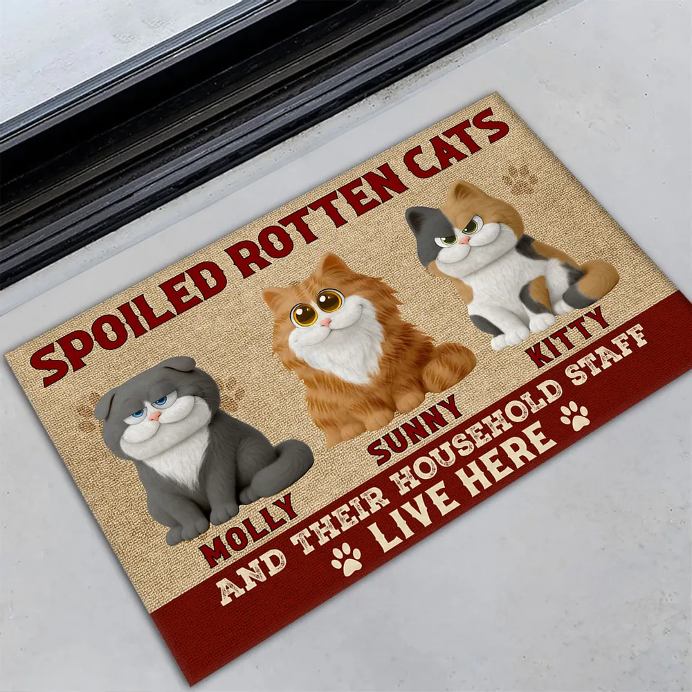 Funny Cat Standard Doormat with Playful Design for Entryway, Adds Humor and Perfect Gift for Pet Lovers - Image 3