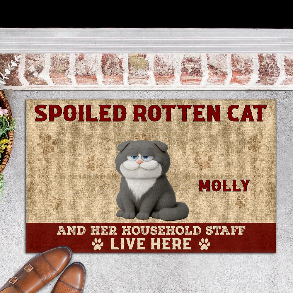Funny Cat Standard Doormat with Playful Design for Entryway, Adds Humor and Perfect Gift for Pet Lovers - Image 5