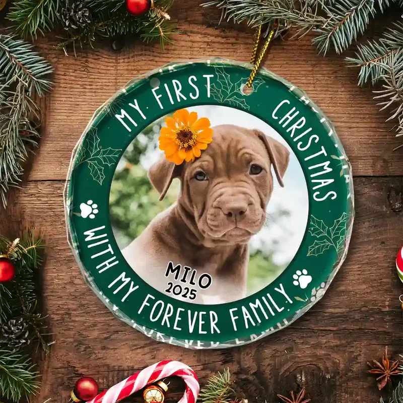 Crystal Ornament with Pet Photo, My First Christmas Circle Design in Green Holly, a Unique Gift for Pet Parents - Image 7