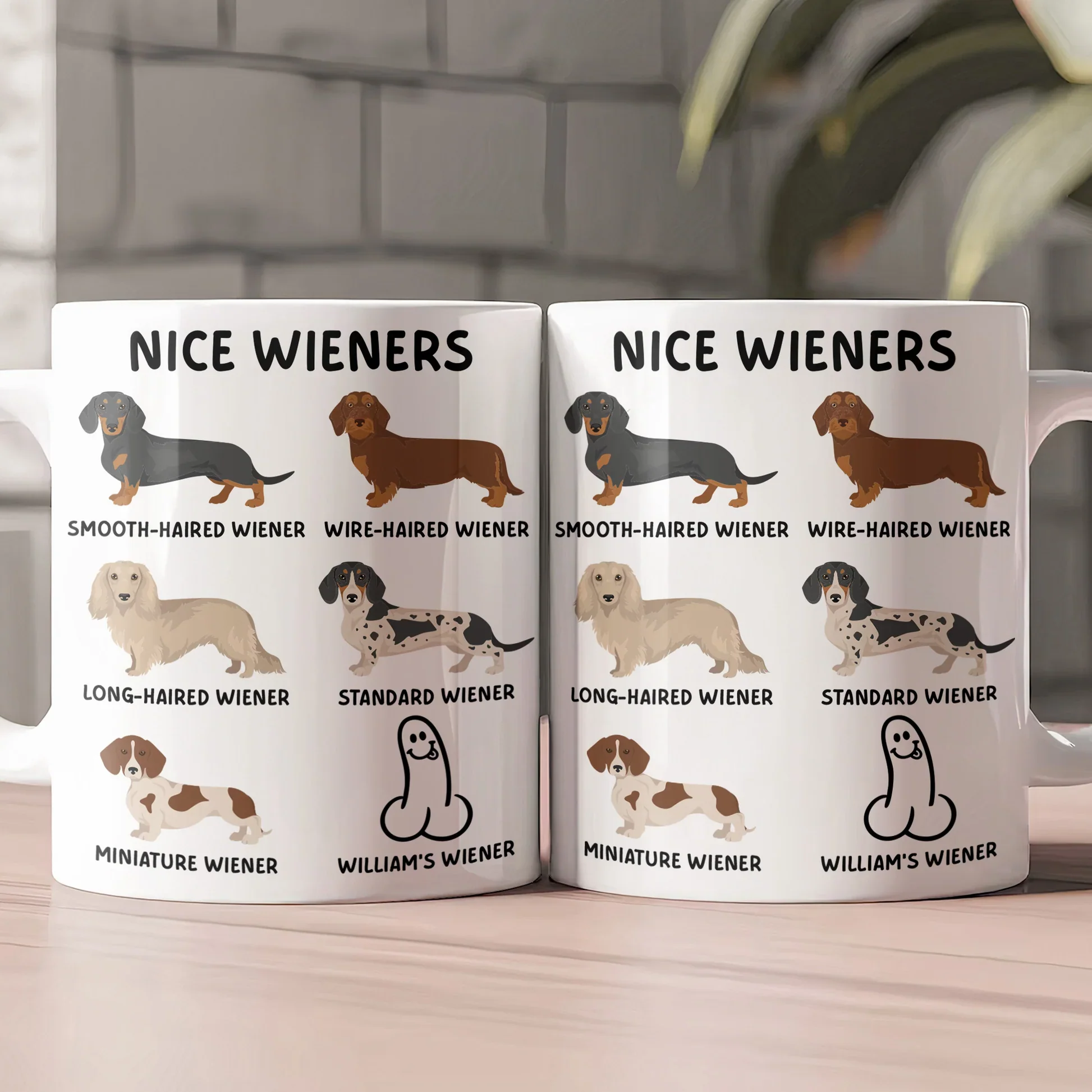Personalized White Ceramic Mug with Funny Cactus Nice Pricks Design, Unique Gift for Husband or Boyfriend, Fun Naughty Coffee Gift - Image 11