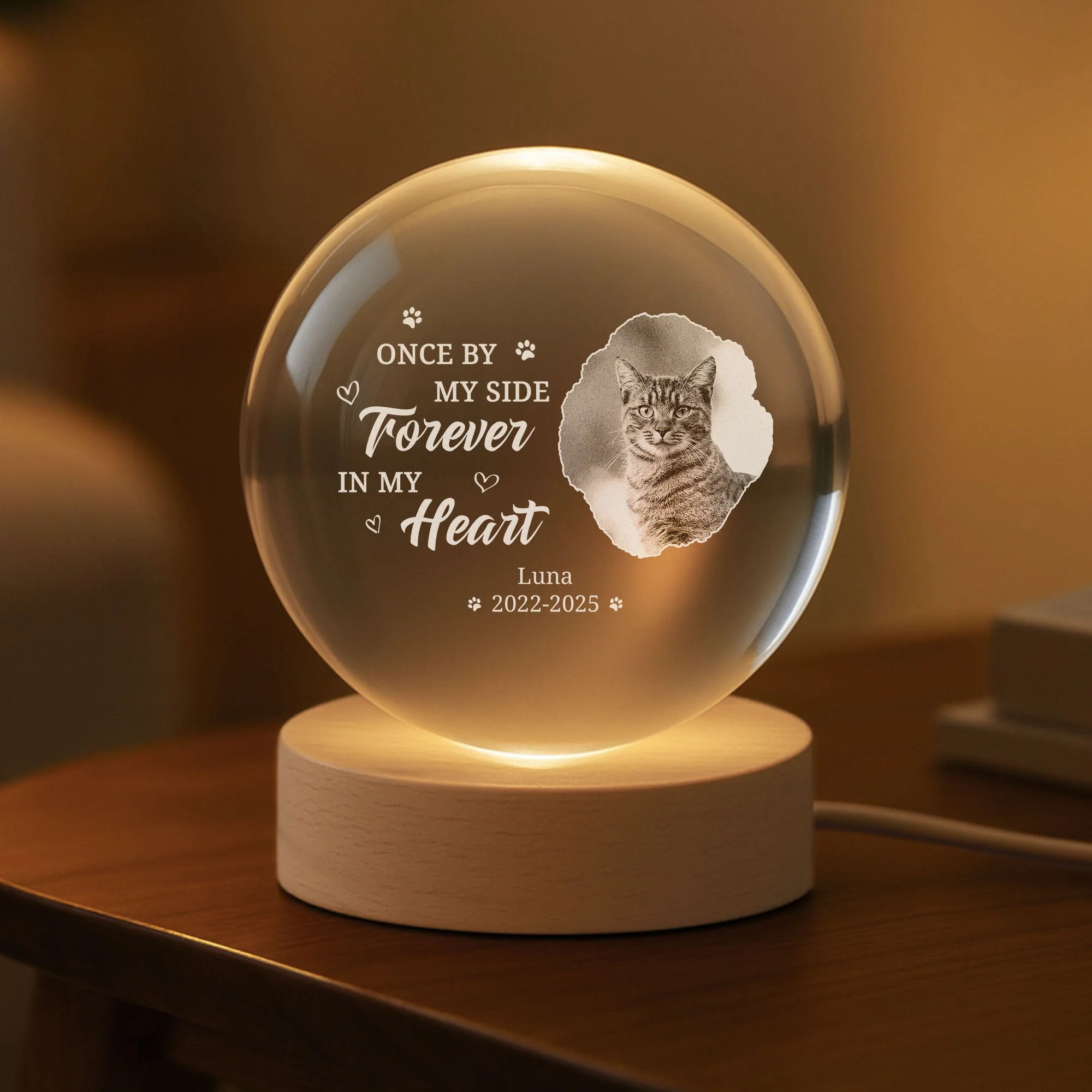 Personalized Pet Memorial Globe Lamp with Photo Engraving – Custom Dog or Cat Crystal Light, Forever in My Heart Remembrance Gift - Image 3