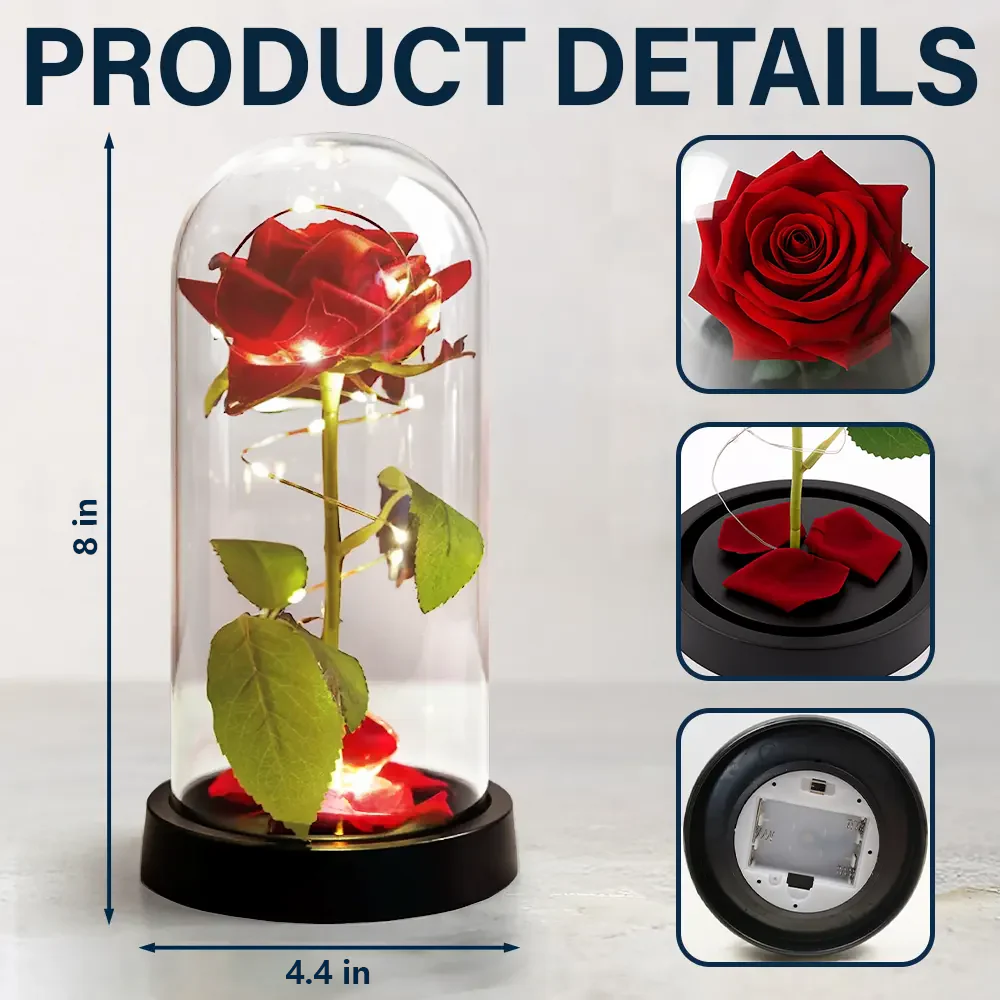Personalized Lighted Eternal Rose Dome with You & Me We Got This, Cozy Romantic Night Light, Unique Gift for Couples - Image 4