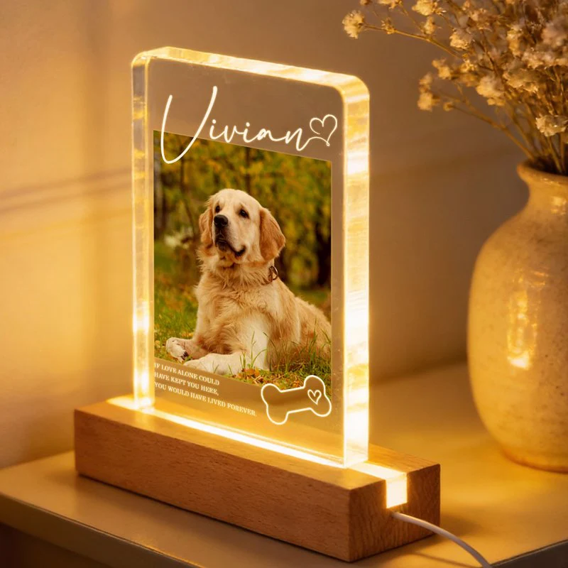 Personalized Pet Memorial Block LED Light Plaque with Custom Photo and Name - Warm Night Light Unique Gift for Dog Lovers - Image 7