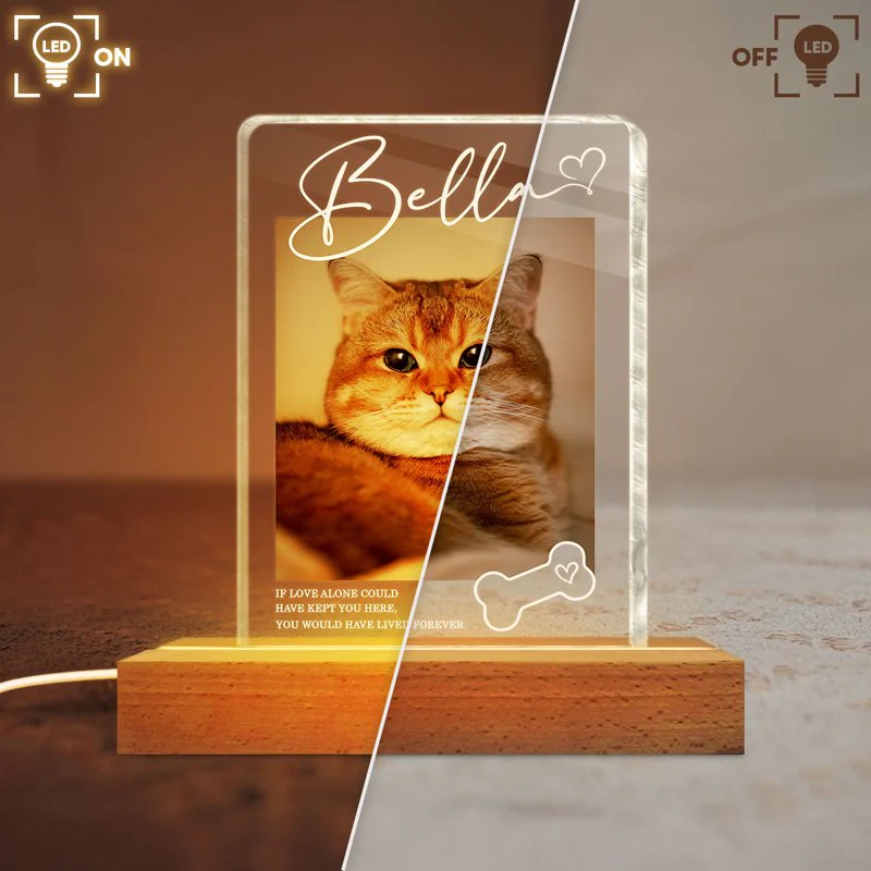 Personalized Pet Memorial Block LED Light Plaque with Custom Photo and Name - Warm Night Light Unique Gift for Dog Lovers - Image 8