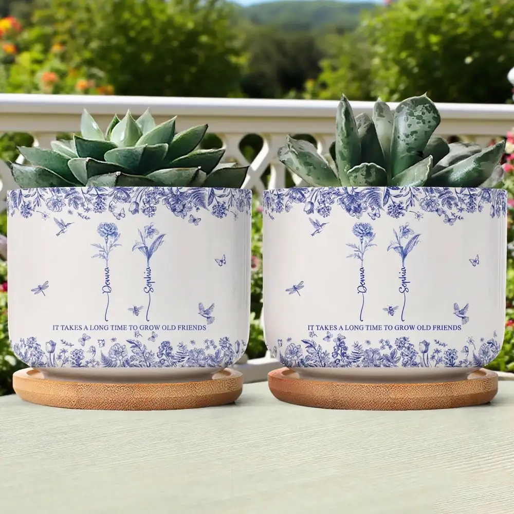 Custom Ceramic Flower Pot for Best Friends β 'It Takes a Long Time to Grow Old Friends' Quote with Name & Floral Design